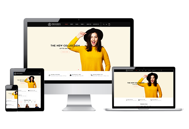 Retail Software Solutions