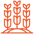 Farm Inventory Management