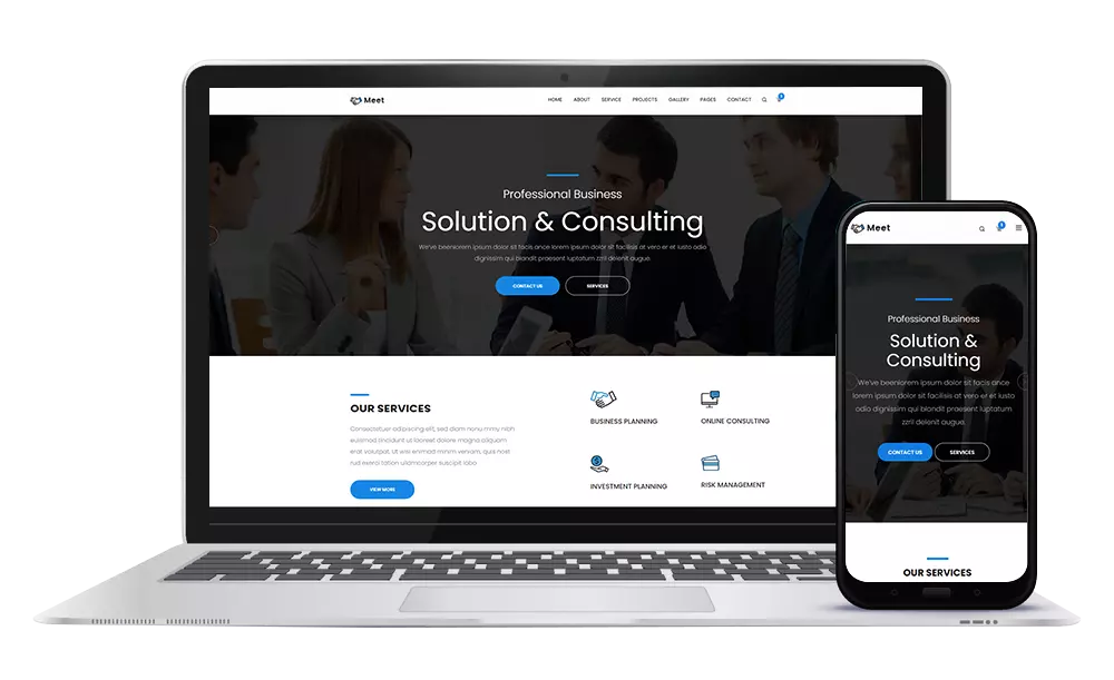 Meeting & Web Conferencing Software Development