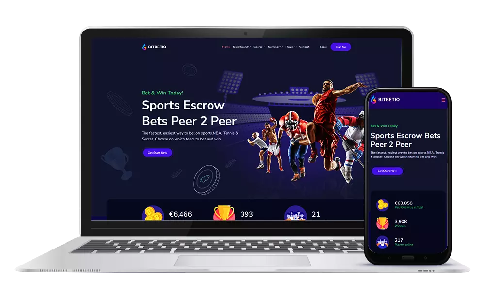 Sports Betting Software Development Service