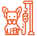 Veterinary Medical Device Integration