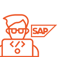 SAP Full Stack Developers
