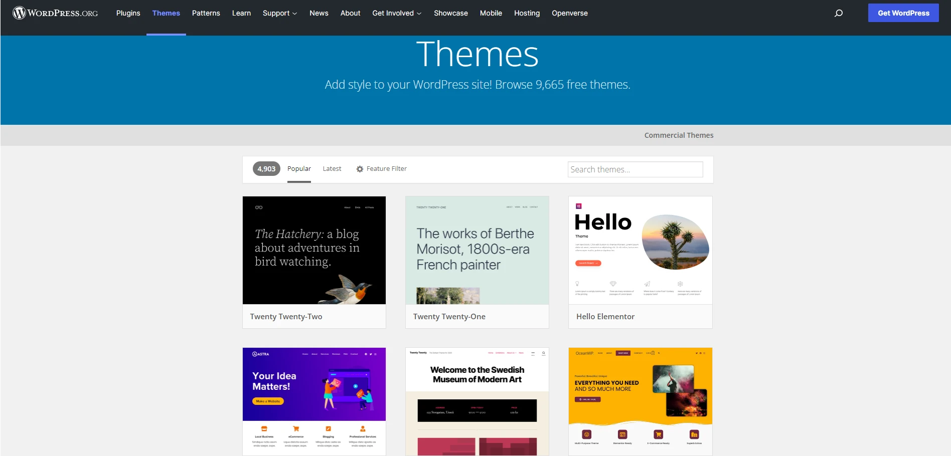 WordPress Themes for your WooCommerce store