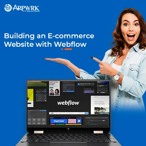 Want To Have A More Appealing Webflow E-commerce?