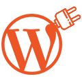 Custom WordPress Plugins
