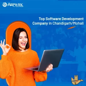 Top Software Development Company in Chandigarh/Mohali - Explore Now