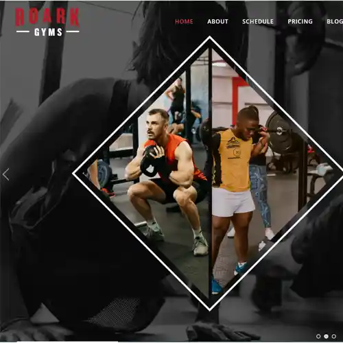 Roark Gyms: APPWRK Portfolio