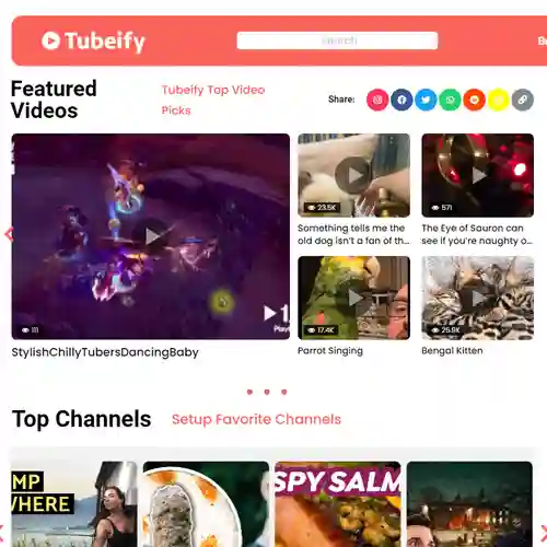 Tubeify: APPWRK Portfolio