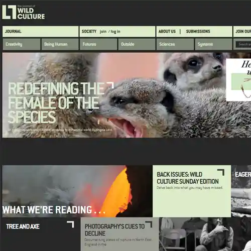 Wild Culture: APPWRK Portfolio