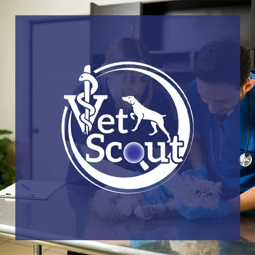 Vet Scout