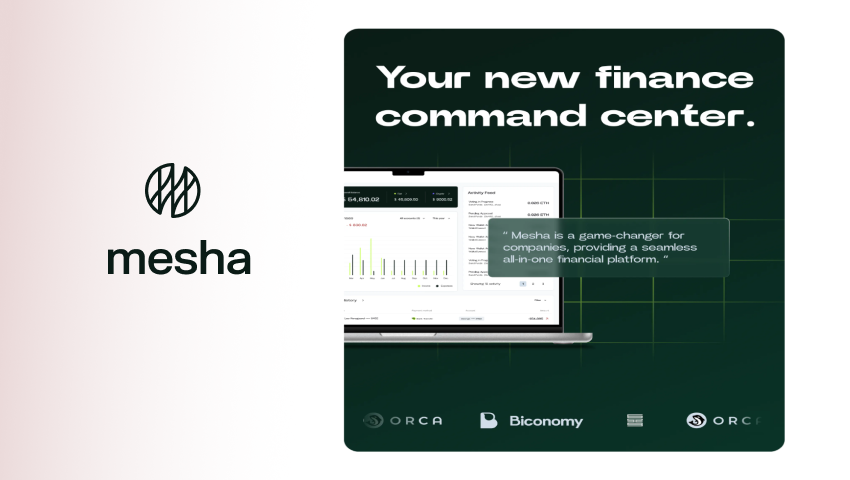 Finance Management App - Mesha | Case Study