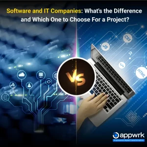 Software and IT Companies: What's the Difference  and Which One to Choose For a Project?