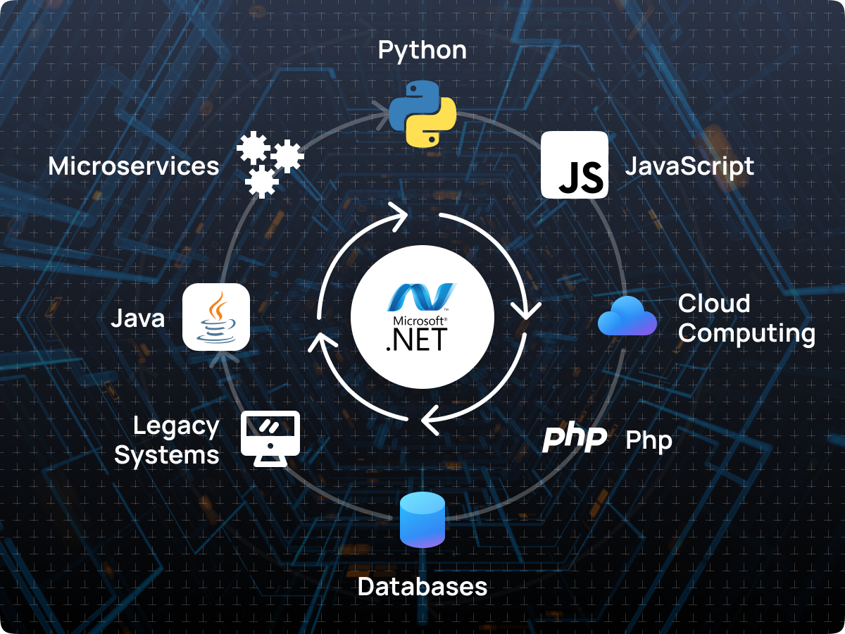 .NET Migration