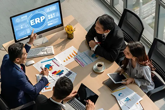 ERP software development services USPs